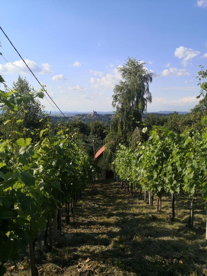 Vikendica Sirec Villa Ptujska Gora Exterior foto